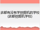 武都有没有学挖掘机的学校(武都挖掘机学校)