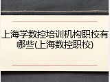 上海学数控培训机构职校有哪些(上海数控职校)