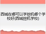 西城在哪可以学挖机哪个学校好(西城挖机学校)