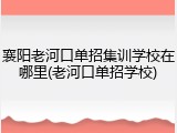 襄阳老河口单招集训学校在哪里(老河口单招学校)