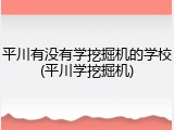 平川有没有学挖掘机的学校(平川学挖掘机)