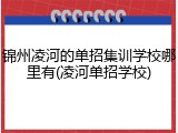 锦州凌河的单招集训学校哪里有(凌河单招学校)
