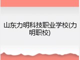 山东力明科技职业学校(力明职校)