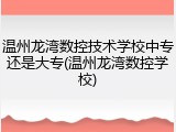 温州龙湾数控技术学校中专还是大专(温州龙湾数控学校)