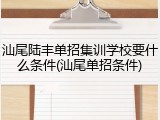 汕尾陆丰单招集训学校要什么条件(汕尾单招条件)