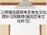 三明清流县高考艺考生文化课补习班推荐(清流艺考文化补习)
