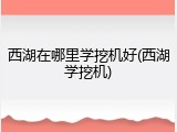 西湖在哪里学挖机好(西湖学挖机)