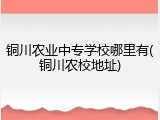 铜川农业中专学校哪里有(铜川农校地址)