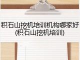 积石山挖机培训机构哪家好(积石山挖机培训)