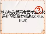 潍坊临朐县高考艺考生文化课补习班推荐(临朐艺考文化班)