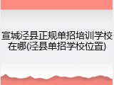宣城泾县正规单招培训学校在哪(泾县单招学校位置)