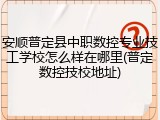 安顺普定县中职数控专业技工学校怎么样在哪里(普定数控技校地址)