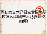 阿勒泰吉木乃县农业职高学校怎么样啊(吉木乃农职校如何)