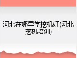河北在哪里学挖机好(河北挖机培训)