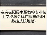 安庆枞阳县中职数控专业技工学校怎么样在哪里(枞阳数控技校地址)