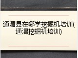 通渭县在哪学挖掘机培训(通渭挖掘机培训)