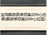 宝鸡麟游县单招集训中心在哪(麟游单招集训中心位置)