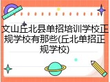 文山丘北县单招培训学校正规学校有那些(丘北单招正规学校)