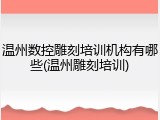 温州数控雕刻培训机构有哪些(温州雕刻培训)