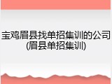 宝鸡眉县找单招集训的公司(眉县单招集训)