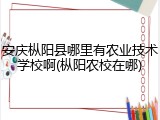 安庆枞阳县哪里有农业技术学校啊(枞阳农校在哪)