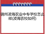 锦州凌海农业中专学校怎么样(凌海农校如何)