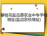 攀枝花盐边县农业中专学校地址(盐边农校地址)