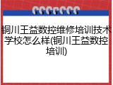 铜川王益数控维修培训技术学校怎么样(铜川王益数控培训)