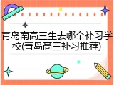 青岛南高三生去哪个补习学校(青岛高三补习推荐)