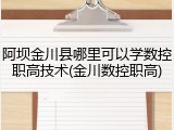 阿坝金川县哪里可以学数控职高技术(金川数控职高)