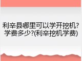 利辛县哪里可以学开挖机?学费多少?(利辛挖机学费)