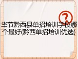 毕节黔西县单招培训学校哪个最好(黔西单招培训优选)