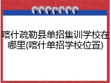 喀什疏勒县单招集训学校在哪里(喀什单招学校位置)