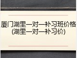 厦门湖里一对一补习班价格(湖里一对一补习价)