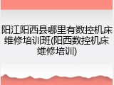 阳江阳西县哪里有数控机床维修培训班(阳西数控机床维修培训)