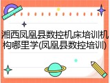 湘西凤凰县数控机床培训机构哪里学(凤凰县数控培训)
