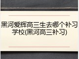 黑河爱辉高三生去哪个补习学校(黑河高三补习)