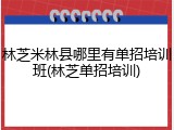 林芝米林县哪里有单招培训班(林芝单招培训)