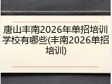唐山丰南2026年单招培训学校有哪些(丰南2026单招培训)