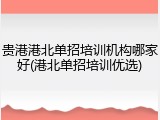 贵港港北单招培训机构哪家好(港北单招培训优选)