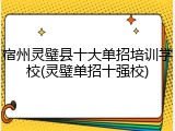 宿州灵璧县十大单招培训学校(灵璧单招十强校)