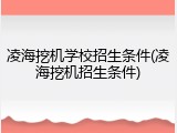 凌海挖机学校招生条件(凌海挖机招生条件)