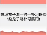 蚌埠龙子湖一对一补习班价格(龙子湖补习费用)