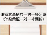 张家界桑植县一对一补习班价格(桑植一对一补课价)