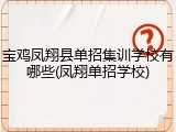 宝鸡凤翔县单招集训学校有哪些(凤翔单招学校)