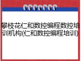 攀枝花仁和数控编程数控培训机构(仁和数控编程培训)