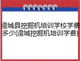 澄城县挖掘机培训学校学费多少(澄城挖掘机培训学费)