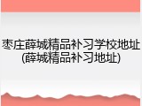 枣庄薛城精品补习学校地址(薛城精品补习地址)