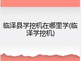 临泽县学挖机在哪里学(临泽学挖机)