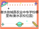衡水故城县农业中专学校哪里有(衡水农校位置)